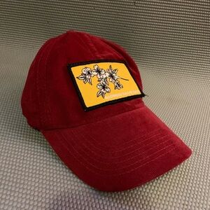 NEW! Dogwood skate shop embroidered maroon corduroy clasp back baseball hat